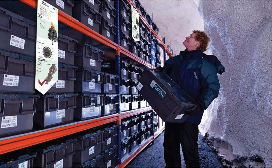 brand identity visual